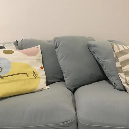 Flh Gaia Homey Flat With Pateo Ii 公寓 加亚新城